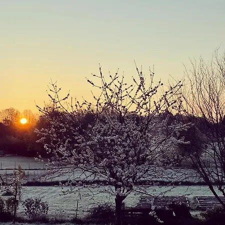 Villa La Meridienne - Piscine Chauffee - Terrasse - Parc